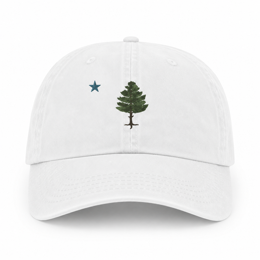 1901 Maine Flag ’47 Clean Up Hat